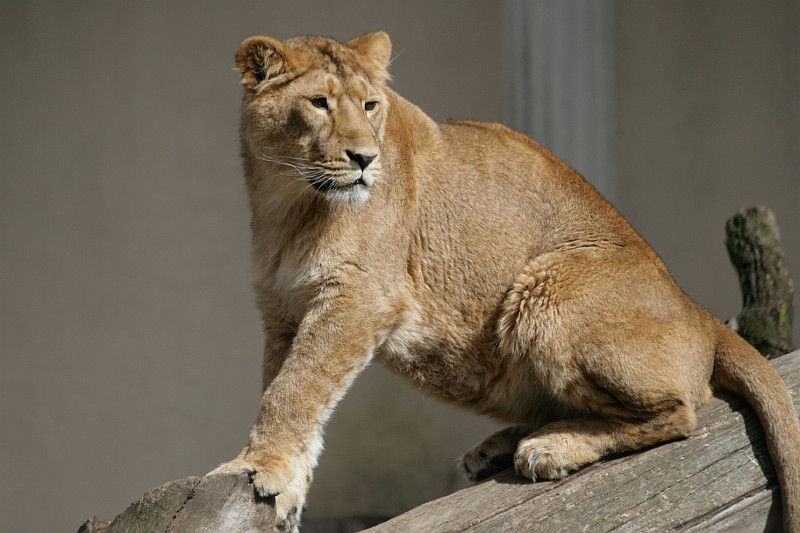 Fotoclubje Blijdorp 2008-63.jpg